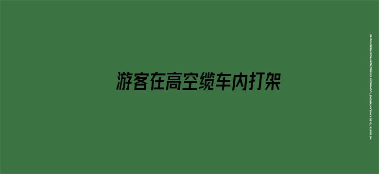 游客在高空缆车内打架 全车人惊呼